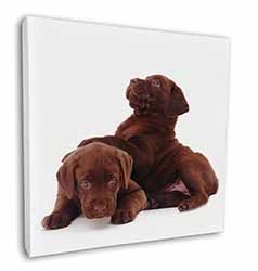 Chocolate Labrador Puppies Square Canvas 12"x12" Wall Art Picture Print