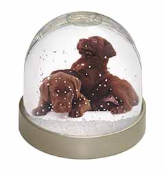 Chocolate Labrador Puppies Snow Globe Photo Waterball