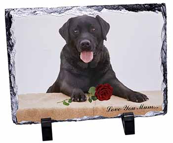 Black Lab with Rose 