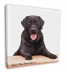 Black Labrador 