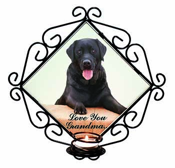 Black Labrador 