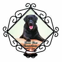 Black Labrador 