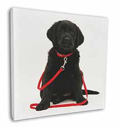 Black Goldador Dog Square Canvas 12"x12" Wall Art Picture Print