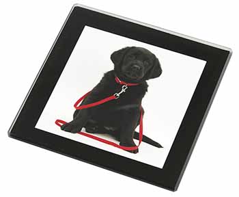 Black Goldador Dog Black Rim High Quality Glass Coaster