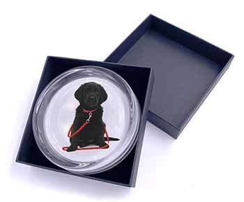 Black Goldador Dog Glass Paperweight in Gift Box