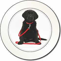 Black Goldador Dog Car or Van Permit Holder/Tax Disc Holder