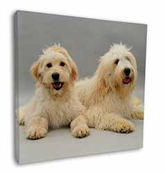 Labradoodle Dog Square Canvas 12"x12" Wall Art Picture Print