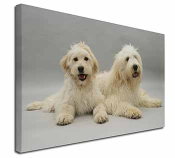 Labradoodle Dog Canvas X-Large 30"x20" Wall Art Print