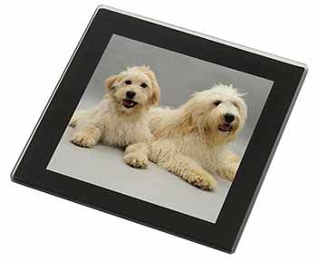 Labradoodle Dog Black Rim High Quality Glass Coaster