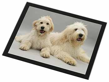 Labradoodle Dog Black Rim High Quality Glass Placemat