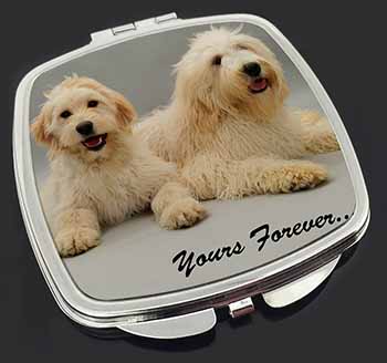 Labradoodle Dogs 