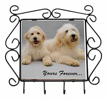 Labradoodle Dogs 