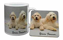 Labradoodle Dogs 