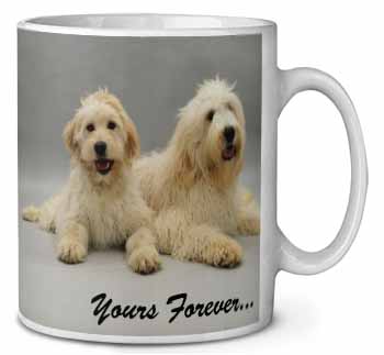 Labradoodle Dogs 