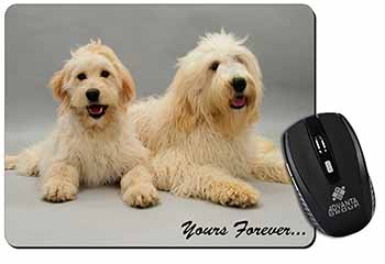 Labradoodle Dogs 