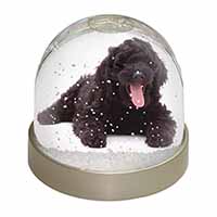 Black Labradoodle Dog Snow Globe Photo Waterball