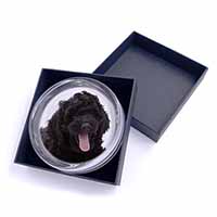 Black Labradoodle Dog Glass Paperweight in Gift Box