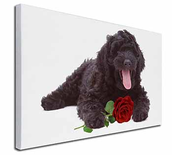 Labradoodle Dog with Red Rose Canvas X-Large 30"x20" Wall Art Print