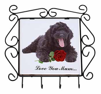 Labradoodle+Rose 