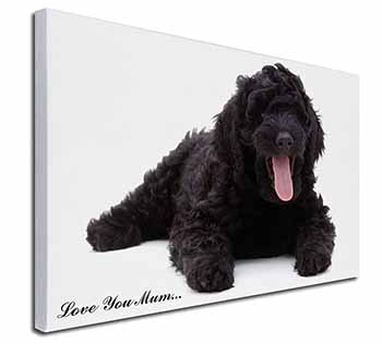 Black Labradoodle 