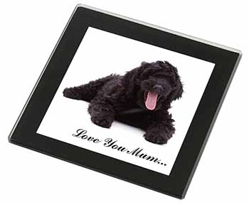 Black Labradoodle 