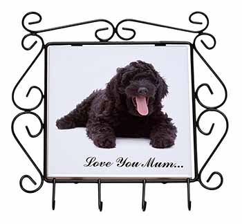 Black Labradoodle 