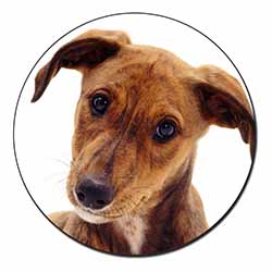 Lurcher Dog Fridge Magnet Printed Full Colour