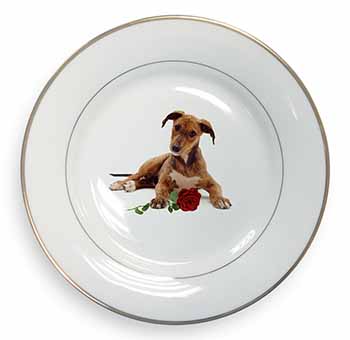 Lurcher Dog with Red Rose Gold Rim Plate Printed Full Colour in Gift Box