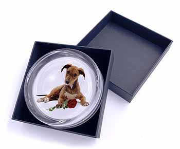 Lurcher Dog with Red Rose Glass Paperweight in Gift Box