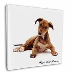 Lurcher Dog 