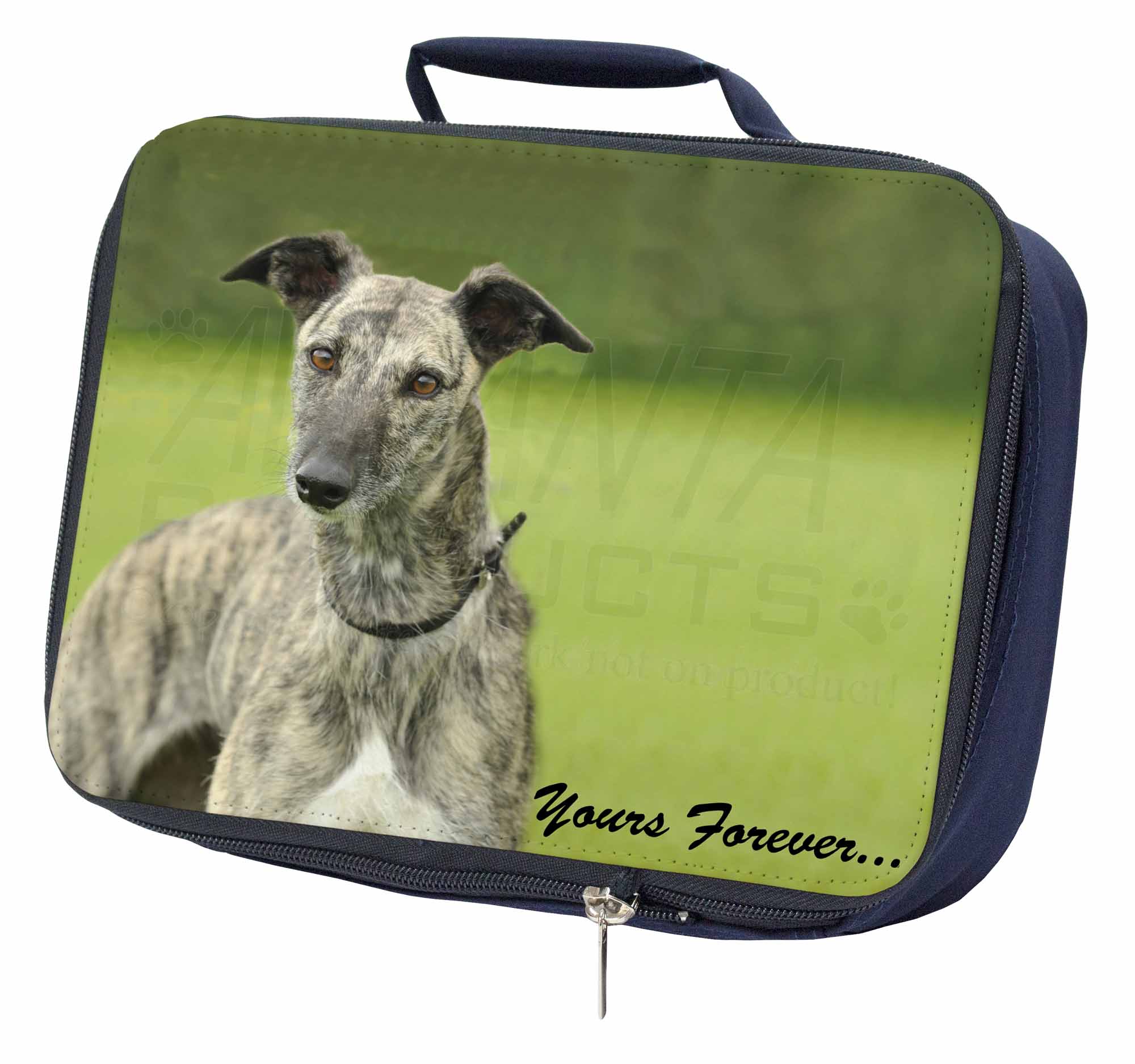 greyhound extra bag