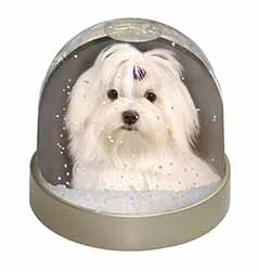 Maltese Dog Photo Snow Globe Waterball