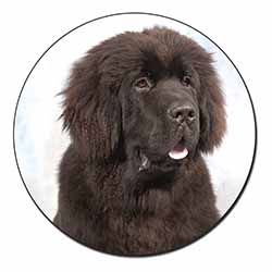 Newfoundland Dog Fridge Magnet Printed Full Colour