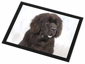 Newfoundland Dog Black Rim High Quality Glass Placemat