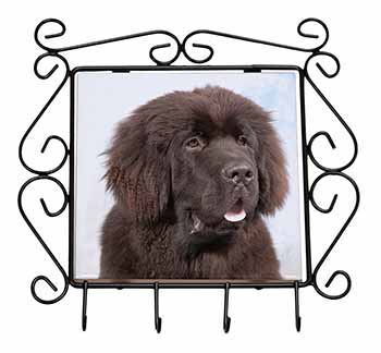 Newfoundland Dog Wrought Iron Key Holder Hooks