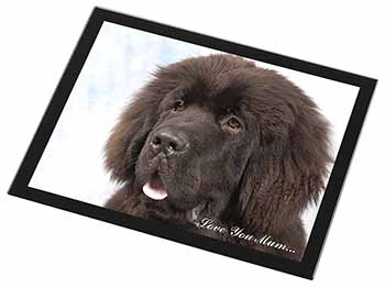 Newfoundland Dog 