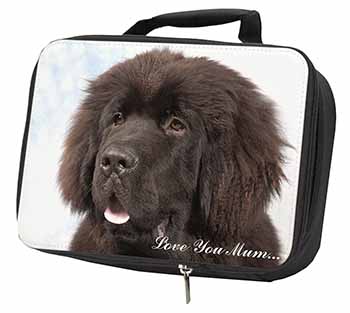 Newfoundland Dog 