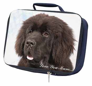 Newfoundland Dog 