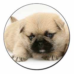 Pugzu Dog Fridge Magnet Printed Full Colour