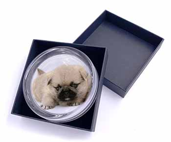 Pugzu Dog Glass Paperweight in Gift Box