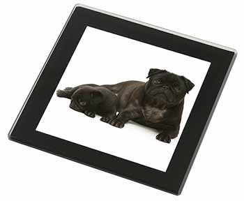 Pug Dog and Puppy Black Rim High Quality Glass Coaster