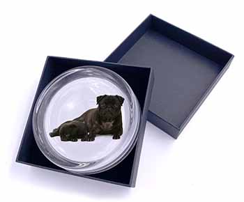 Pug Dog and Puppy Glass Paperweight in Gift Box