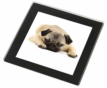 Pug Dog Black Rim High Quality Glass Coaster