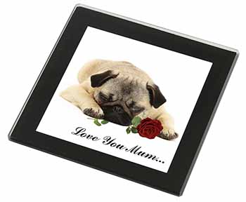 Fawn Pug with Rose 