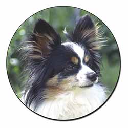 Papillon Dog Fridge Magnet Printed Full Colour