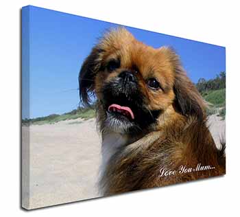 Pekingese Dog 