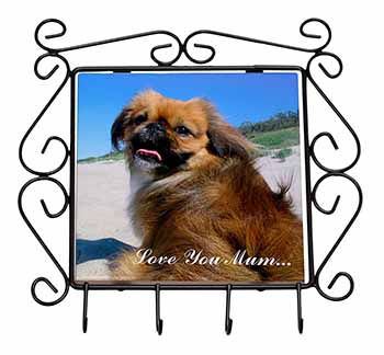 Pekingese Dog 