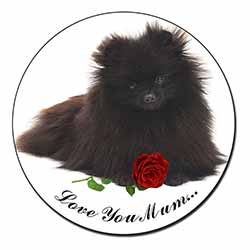 Pomeranian Dog+Rose 