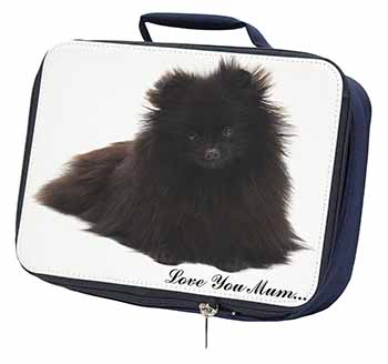 Pomeranian Dog 