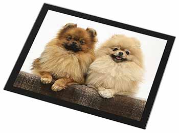 Pomeranian Dogs Black Rim High Quality Glass Placemat